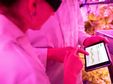 Le Printemps de la Franchise : Entre Innovation, Profitabilité et Responsabilité