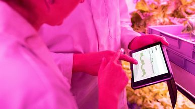 Le Printemps de la Franchise : Entre Innovation, Profitabilité et Responsabilité