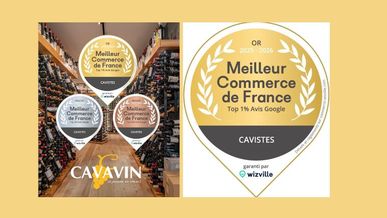 CAVAVIN brille dans le classement WizVille : la satisfaction client avant tout