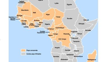 Journée Afrique sub-saharienne au 1er e-congrès de la franchise francophone