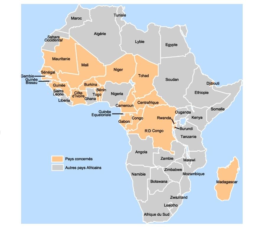 Journée Afrique sub-saharienne au 1er e-congrès de la franchise francophone